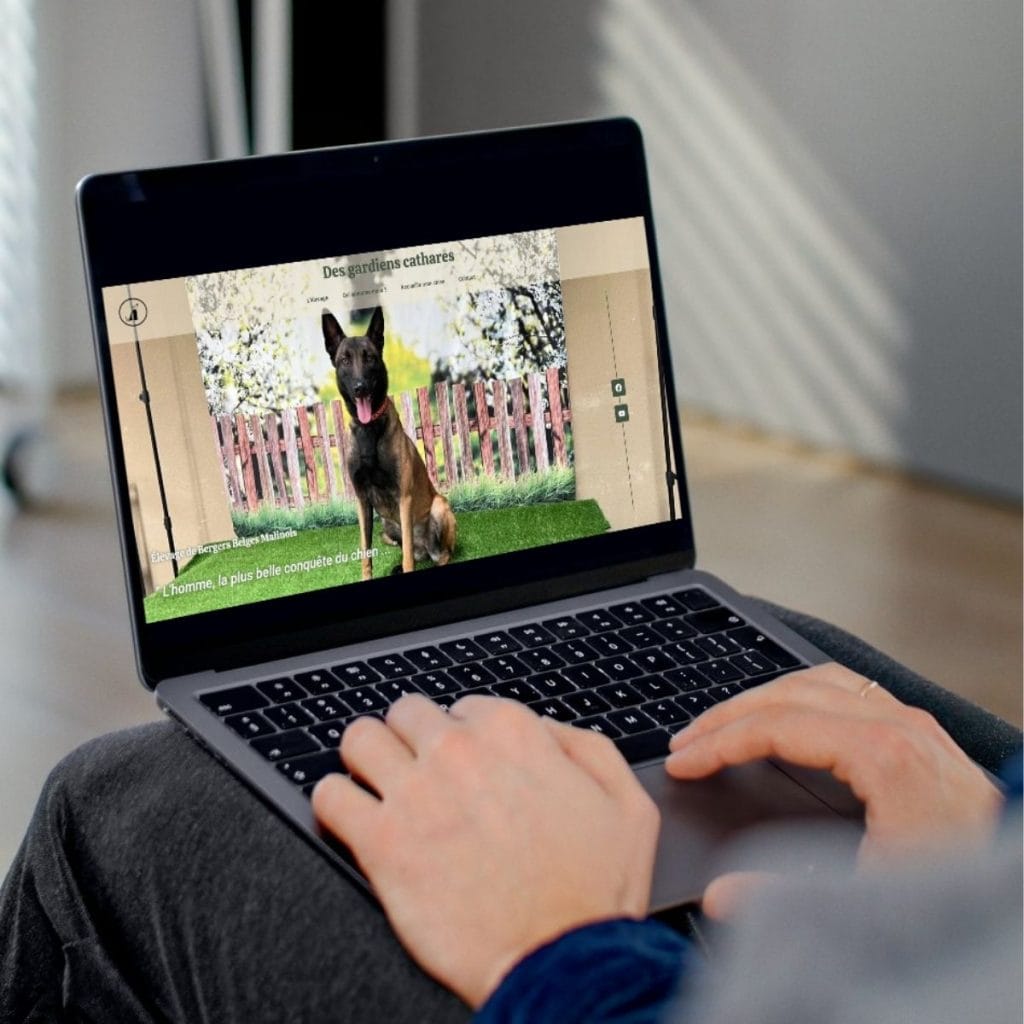 Site vitrine pour élevage canin : Mockup de la hero section de la page d'accueil du site Des Gardiens Cathares