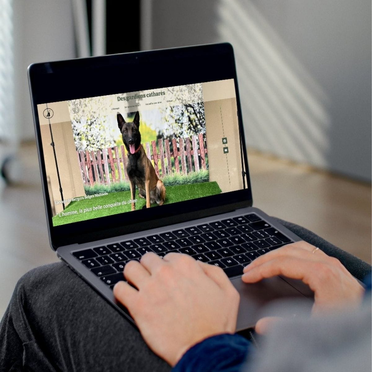 Site vitrine pour élevage canin : Mockup de la hero section de la page d'accueil du site Des Gardiens Cathares